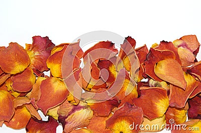 Dried rose petals Stock Photo