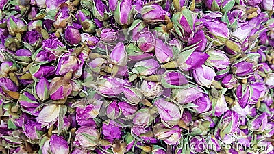 Dried rosebuds background texture closeup. violet rosebud macro close up of heap Stock Photo