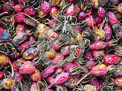 Dried rosehips. Briar close-up. Autumn berry Stock Photo