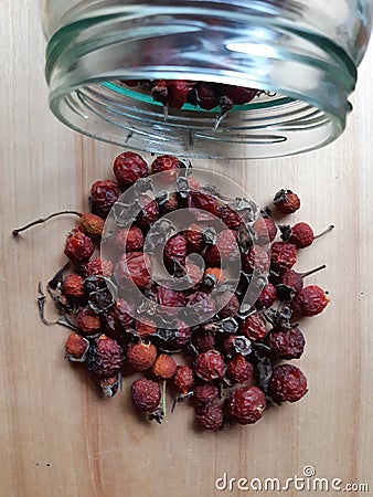 Dried rosehips. Wild edibles vitamin c rich canada rosehips. Natural harvested late fall rosehip rose plant Stock Photo