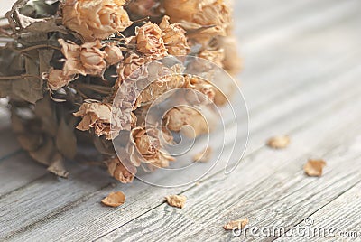 Dried roses on wooden table, vintage nostalgic still life in soft beige tones Stock Photo