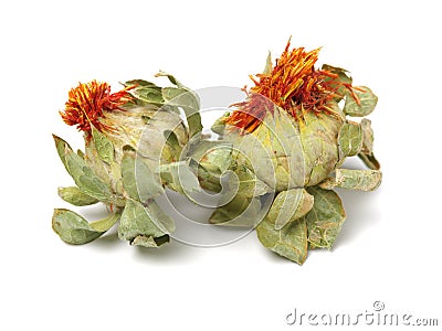 Dried safflower Stock Photo