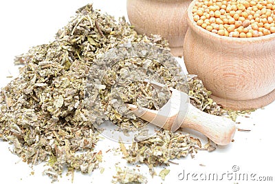 Dried Sage Stock Photo