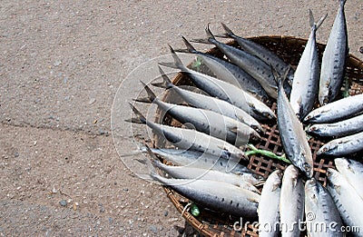 Dried salted Yellow queenfish. Stock Photo