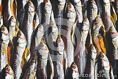 Dried and salty mullet fishes group Stock Photo