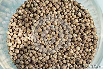 Dried seeds coriander in the glass cup. Ingredient for spices. Culinary background texture. Top view Stock Photo