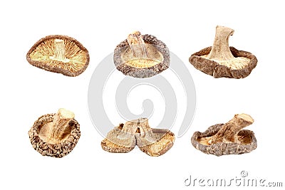 Dried shiitake mushrooms isolated on white background. Stock Photo