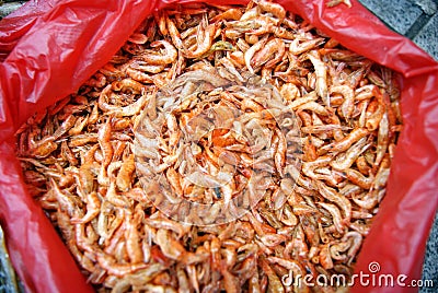 Dried shrimp Stock Photo