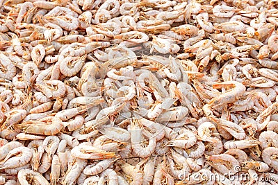 Dried Shrimp Stock Photo