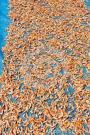 Dried Shrimp Stock Photo