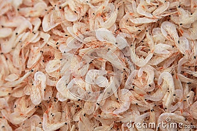 Dried small shrimps,chinese Stock Photo