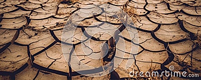 Dried soil, dry to crackeddry. generative ai Stock Photo