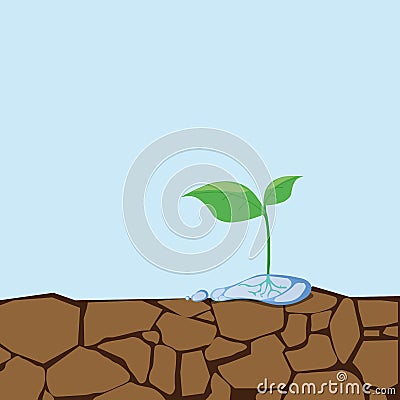 Dried soil and seedlings.Sapling growing from arid land Vector Illustration