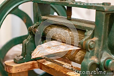 Dried squid closeup seafood background Stock Photo