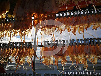 dried squid grilled shop at Thailand steer foods Stock Photo