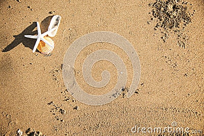Dried starfish on the beach background Stock Photo