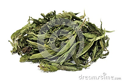 Dried stevia leaves Stock Photo