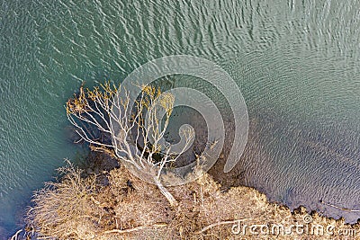 Dried tree on small river island. dry grass envelops the coast. aerial view Stock Photo