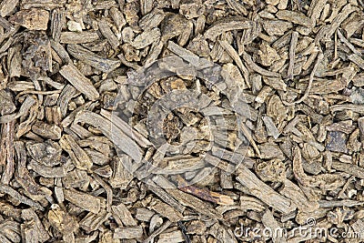 Dried Valerian root pieces (Valeriana officinalis), closeup background image. Stock Photo