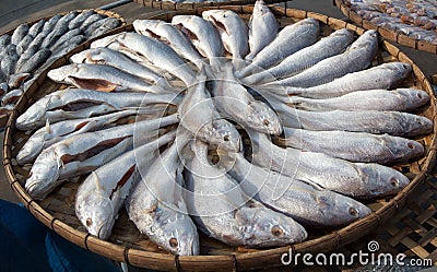 Dried Whisker Sheatfish the Food Preservation Stock Photo