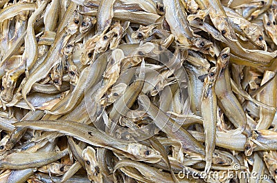 Dried Whisker Sheatfish Stock Photo