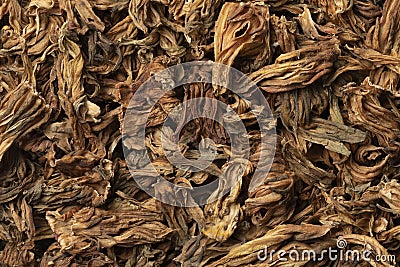 Dried white hibiscus flowers full frame as background Stock Photo