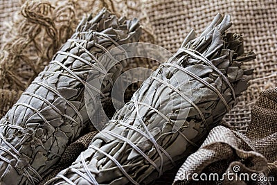 Dried White Sage Smudge Stock Photo