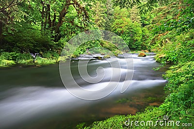 Drift Creek Stock Photo