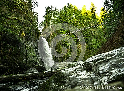 Drift Creek Falls Stock Photo