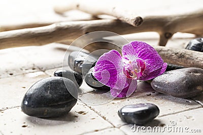 Drift wood and mineral design for soft spa decor Stock Photo