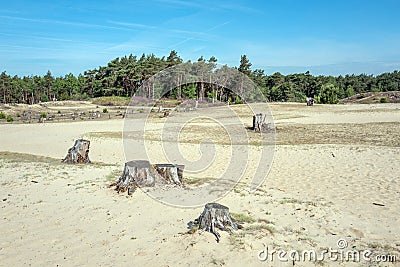 Drifting sand in nature reserve Mosselse zand. Stock Photo