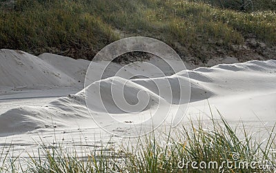 Drifting sand near Lake Michigan Stock Photo