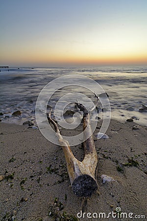 Driftwood on the beach ,vibrant sunrise Stock Photo
