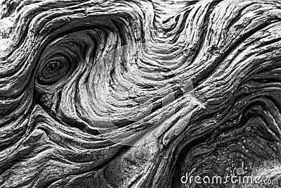 Driftwood detail. Black and white natural texture background Stock Photo