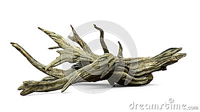 Driftwood isolated on white background, aged branches Stock Photo