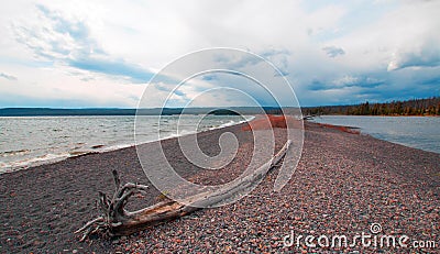 Driftwood log on small isthmus called Hard Road to Follow on banks of Yellowstone Lake in Yellowstone National Park - Wyoming USA Stock Photo