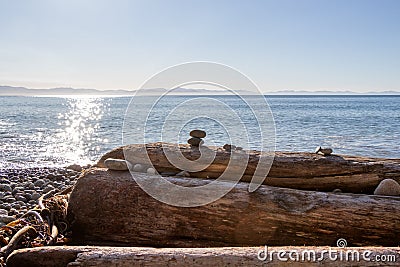 Driftwood logs and rocks on a beach on the coast of Vancouver Island Stock Photo