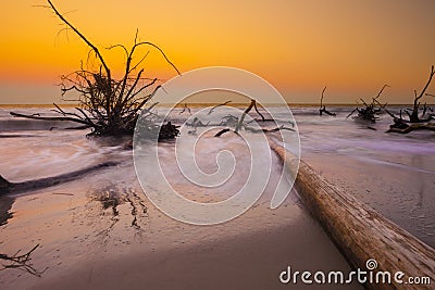 Driftwood in the ocean, long exposure Stock Photo