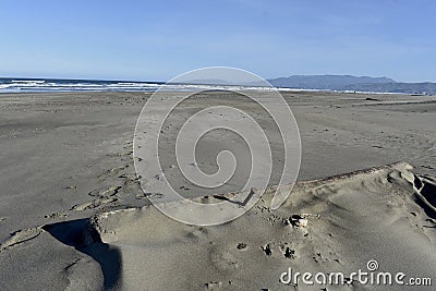 Driftwood or ocean waste, 2. Stock Photo