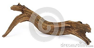 Driftwood over white background Stock Photo