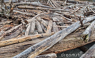 Driftwood Pile Closeup Stock Photo