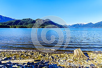 Driftwood on the shores of Pitt Lake with the Snow Capped Peaks of the Golden Ears Mountains Stock Photo