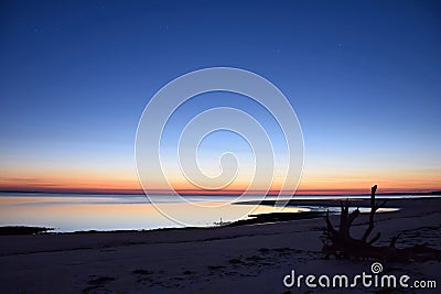 Driftwood Stillness Stock Photo