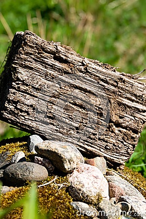 Driftwood texture closeup over grass background Stock Photo