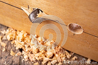 Drilling in a piece of wood with a metal drill bit. Small carpentry work in a home workshop Stock Photo