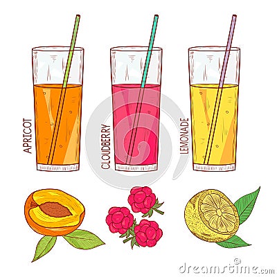 Drink. A glass with a straw. Raspberry, peach, lemonade. Set. Vector Illustration