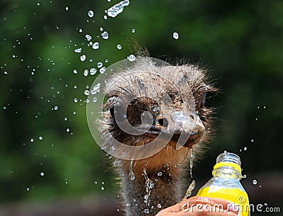 Drink water Stock Photo