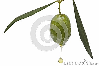 Dripping olive. Stock Photo