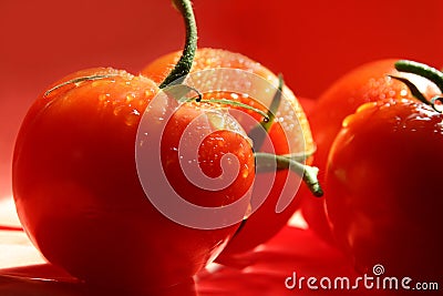 Dripping red tomatoes Stock Photo