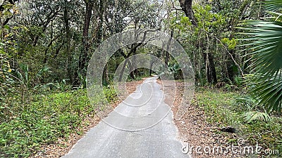 The drive through the forrest in Timucuan Ecological National Park in Jacksonville, Florida Stock Photo